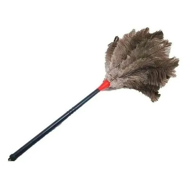 espanador de penas - Imagem 2