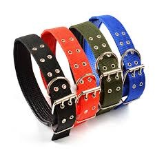 pet coleiras de nylon para animais de estimação. 